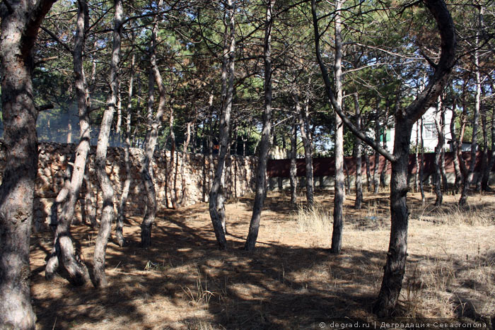 Учкуевский лес, застраиваемый коттеджами