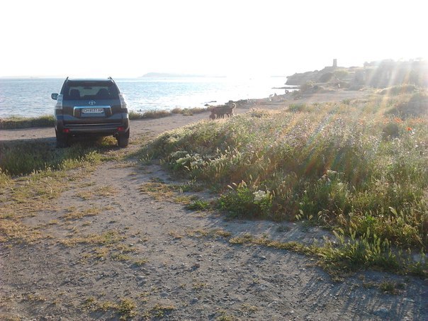авто на пляже Херсонеса
